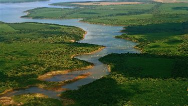 esteros del ibera, el parque nacional argentino mas grande