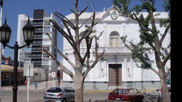 Varios Ginkgo Biloba sufrieron el paso de los años y la mano del hombre..