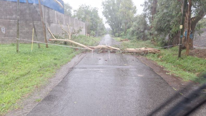 En Pilar se registraron ráfagas de viento de 60 kilómetros por hora durante el temporal.&nbsp;