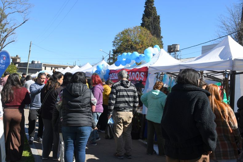 guiso de lentejas  (11)