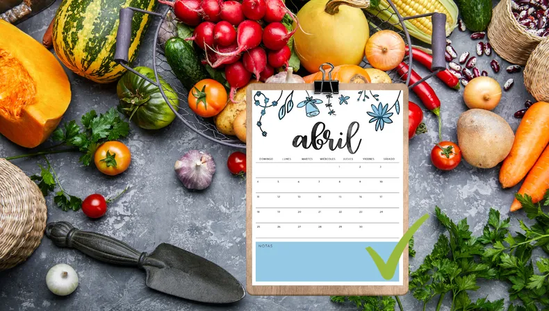 Tareas en la huerta durante el mes de abril. (sitioandino.com.a).