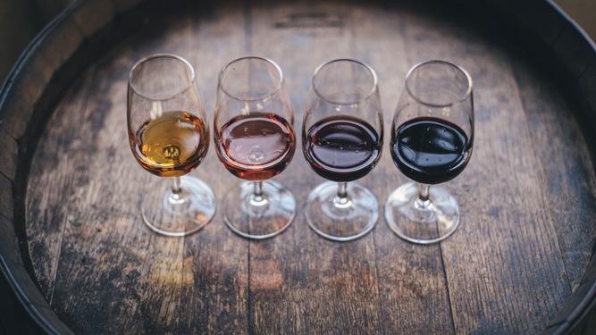 Día del Vino Argentino Bebida Nacional: ¿por qué se celebra el 24 de noviembre?