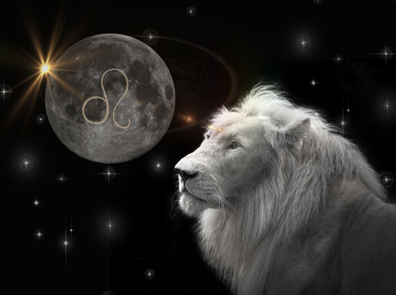 Luna Nueva en Leo y Venus Star Point: ¿cómo aprovechar su energía?