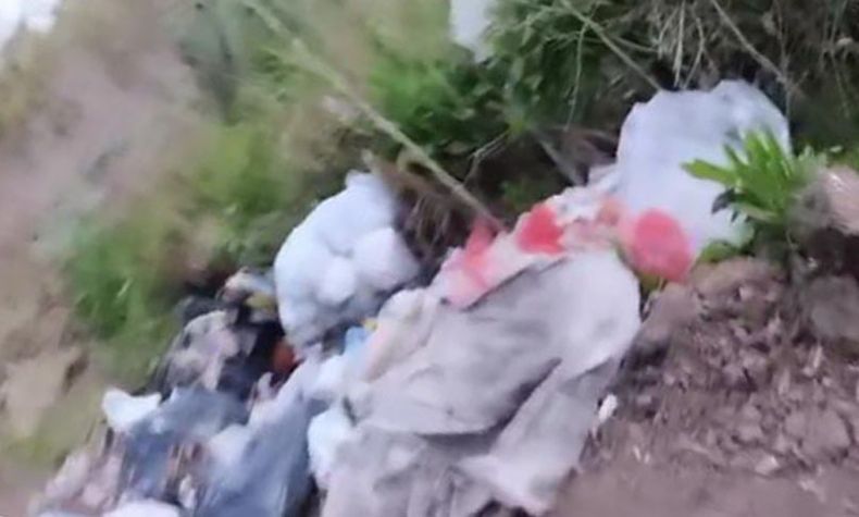 Se prende fuego un basural en La Lonja ¿Se acuerdan de esta noticia? El mismo día cerraron la entrada del lugar con una montaña de tierra, lo cual no permite que tiren mugre. Todos creíamos que con eso no iban a tirar más basura. Como ahora no pueden tirar la basura adentro del mismo, la tiran en la calle. No podemos caminar por los malos olores que hay. Rocío.