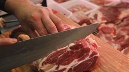 El consumo de carne vacuna cayó 6,5% interanual, de acuerdo con el informe elaborado por la Universidad de Palermo. El consumo de carne vacuna cayó 6,5% interanual, de acuerdo con el informe elaborado por la Universidad de Palermo.