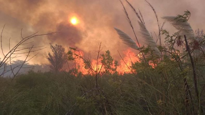 A OSCURAS. El fuego afectó a la altura de Pilar una línea de alta tensión de 500 kw que une Campana con General Rodríguez..