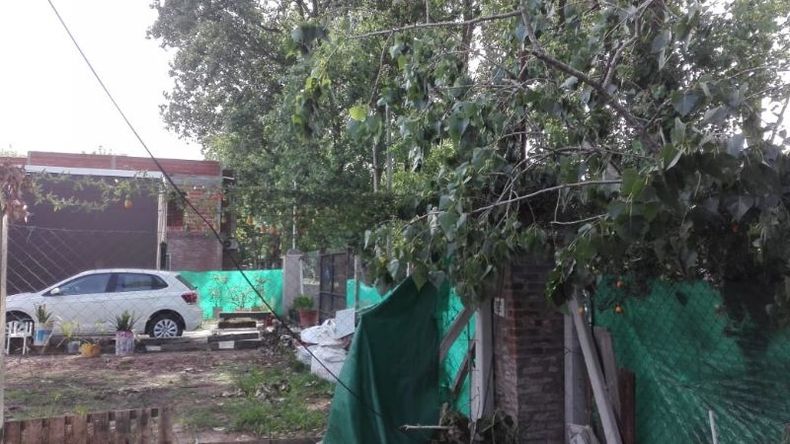 Así quedó el patio de la casa luego de la caída de la rama..