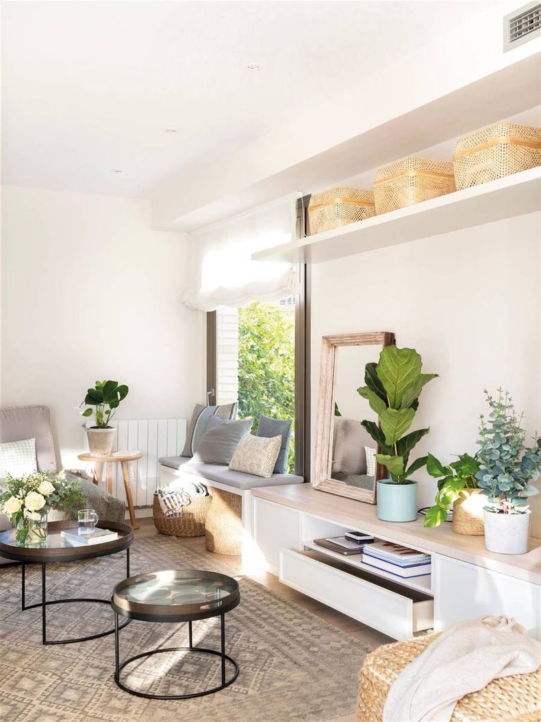 Cómo usar las plantas para atraer abundancia. (El mueble)..jpg