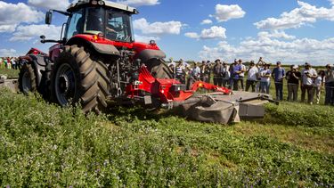 Massey Ferguson, presente en Expoalfa 2024.&nbsp;