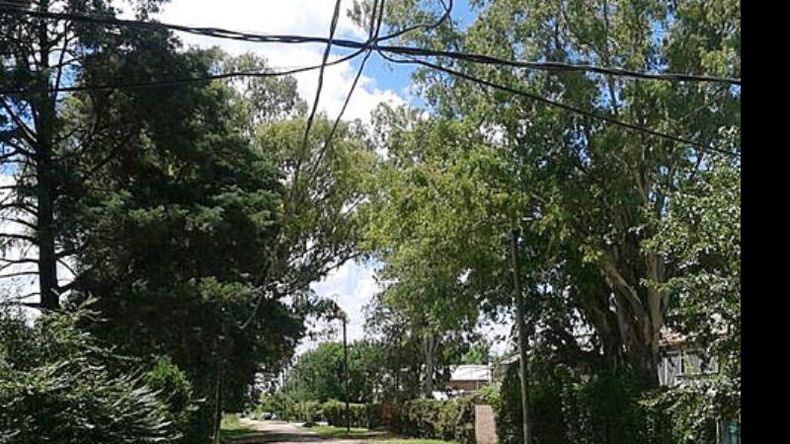 f800x450 22395_73841_5050.jpg