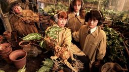 Plantas reales en el mundo de Harry Potter