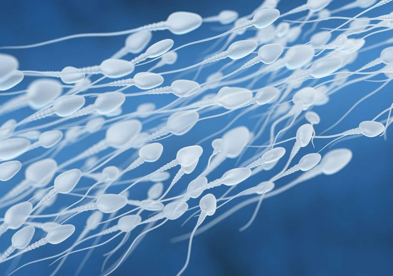Un estudio reveló que las olas de calor pueden reducir la fertilidad masculina. (Meteored)..png