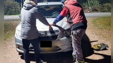 Los dos roba cables fueron sorprendidos in fraganti en el barrio La Alborada.&nbsp;