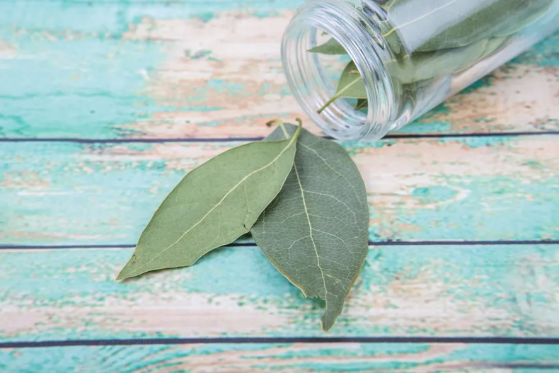 Cómo atraer la prosperidad y la abundancia con las hojas de laurel en la billetera. Foto. Shutterstock..webp