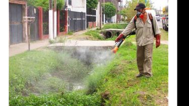 FUMIGATOR. Podría haber un rebrote de mosquitos..