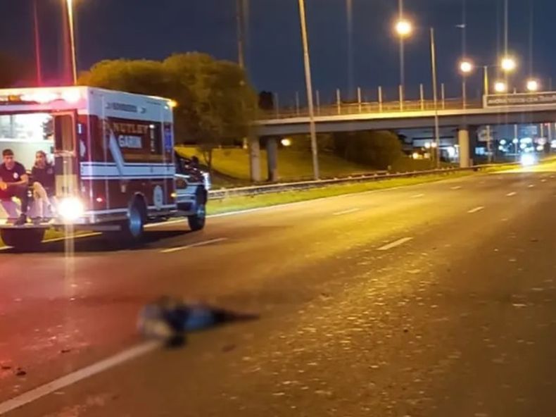 El hecho ocurrió a metros del puente de acceso a Garín, en ramal Campana de Panamericana.