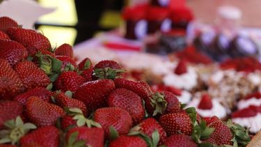 4 mil toneladas al año produce Pilar..