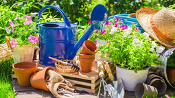 Llego setiembre, el mes de la primavera: ¿Cómo renovar el jardín?