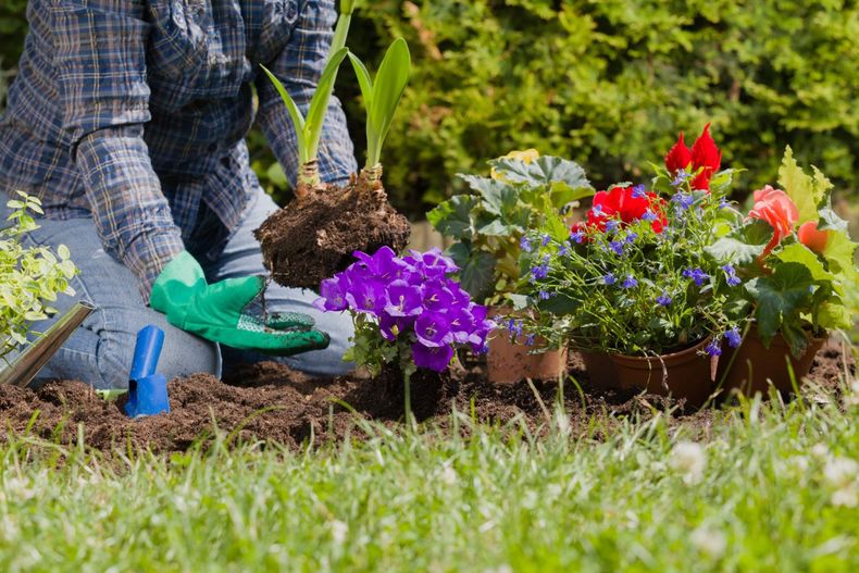 Septiembre, mes de la primavera: ¿ Cómo preparar el jardín? (proyectando.com)..jpeg
