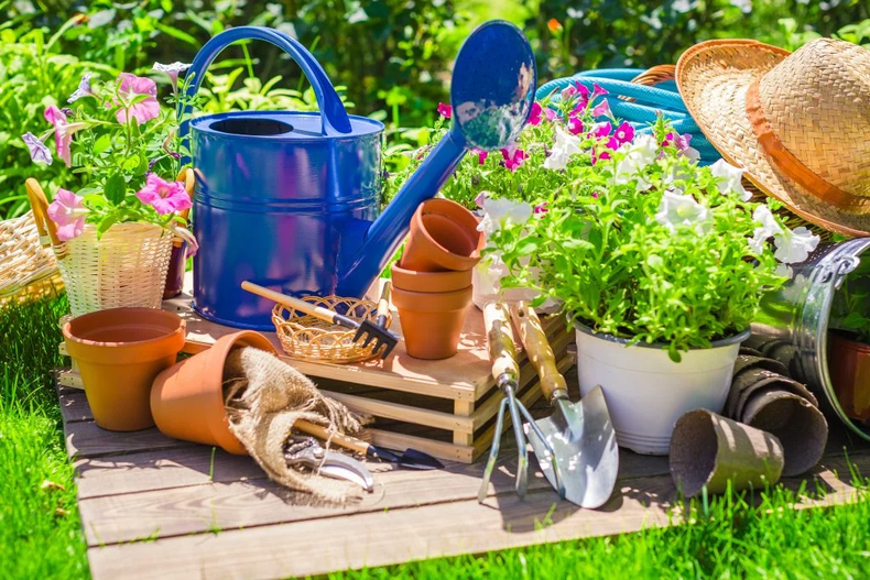 Renovar el jardín en setiembre. (searchexplained.com)..png