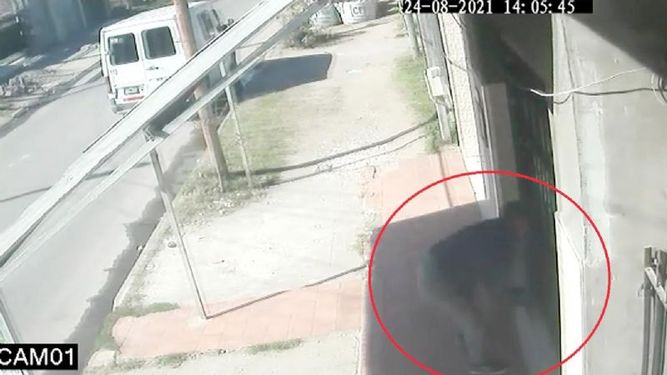 Así se robaron a un cachorro de una casa de Agustoni