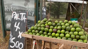 La esquina de las paltas en promo está ubicada en la bajada del Kilómetro 49,5 de la Panamericana.&nbsp;