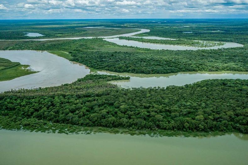 La gran reserva de agua dulce que clama ser custodiada. (maderamen.com.ar).