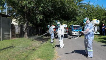 Prevención.&nbsp;Desde el Municipio se vienen realizando tarea de prevención mediante operativos de fumigación y descacharreo.