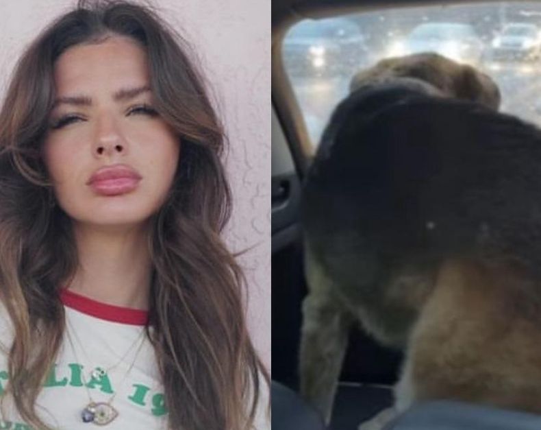La China Suárez rescató a un perro que estaba perdido en la Panamericana.&nbsp;