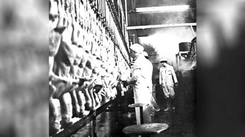 A principios de los 80, 130.000 pollos parrilleros pasaban cada día por las distintas etapas de faena, repartidos en tres empresas del distrito..