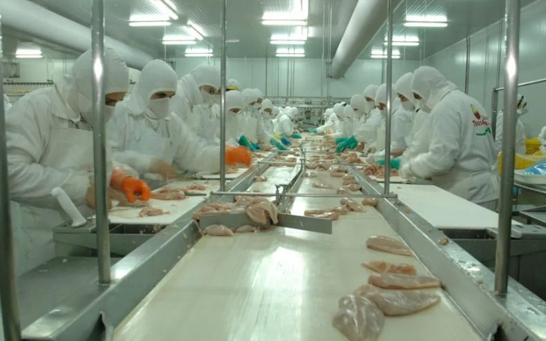 Los trabajadores de Granja Tres Arroyos fueron suspendidos hasta el mes de septiembre.&nbsp;
