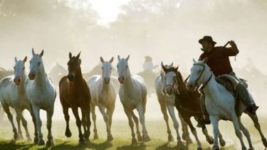 Areco festeja la tradición