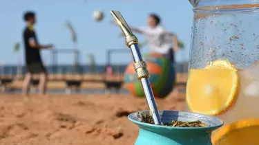 Verano 2026: 5 mezclas para preparar el mejor tereré Verano 2026: 5 mezclas para preparar el mejor tereré