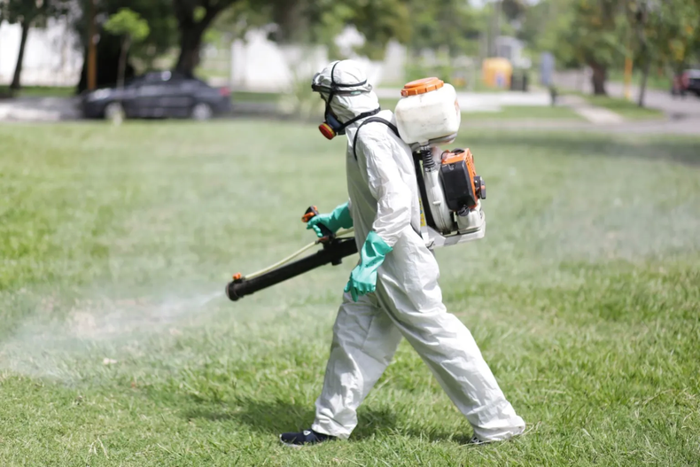 DENGUE: El Ministerio de Salud bonaerense instó a reforzar las medidas de prevención para evitar la propagación del virus
