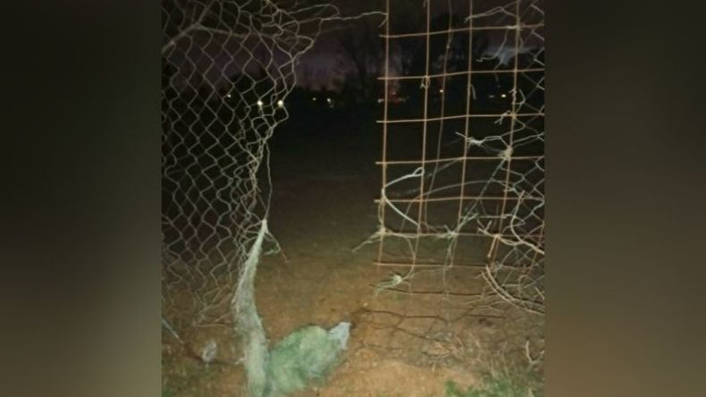 El delincuente cortó el alambrado perimetral. Foto @juancaimpacto.