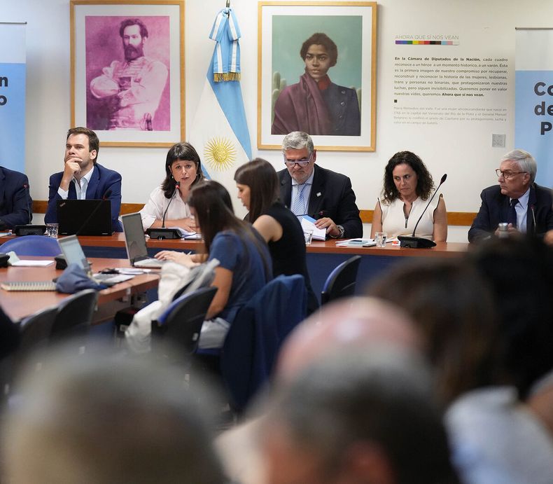 DIPUTADOS. Se llevó a cabo una nueva audiencia en el marco del juicio político a la Corte Suprema.