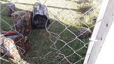 ALAMBRE. Los ladrones intentaron ingresar a otra vivienda..