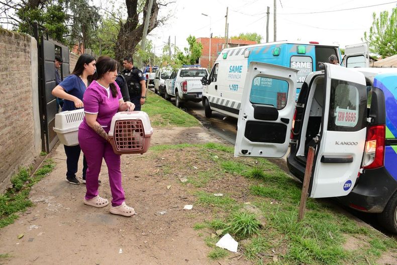 Más de 60 perros y 14 gatos fueron rescatados en Tortuguitas.