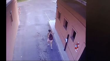 La mucama de Wolfenson abandona La Delfina el día del crimen.