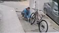 El robo de la bicicleta quedó registrado en una cámara de seguridad. El robo de la bicicleta quedó registrado en una cámara de seguridad.