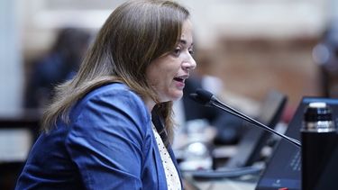 CON DUREZA. Así fue la crítica de Moreau hacia los senadores de Juntos.