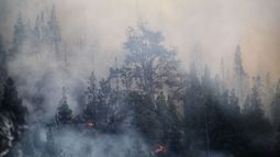 INCENDIOS FORASTALES. Es grave la situación en Bolivia y Brasil.