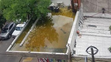 Carolina. En la calle Bolívar, a dos cuadras de la Municipalidad, hay un gran foco de plagas producto de esa agua estancada que se nota todo el día de ese tanque se ve ahí. ¿Dónde se podría denunciar esto, por favor?