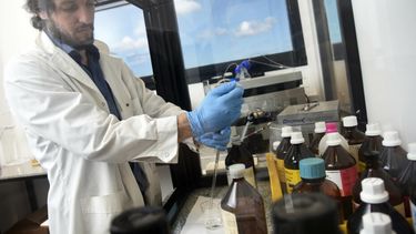 un laboratorio de la unlp ofrece monitoreo gratuito para una rara forma de epilepsia