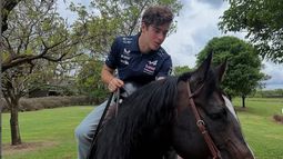 El jinete Franco Colapinto. ¿Con la nuvea versión de Alpine?. El jinete Franco Colapinto. ¿Con la nuvea versión de Alpine?.