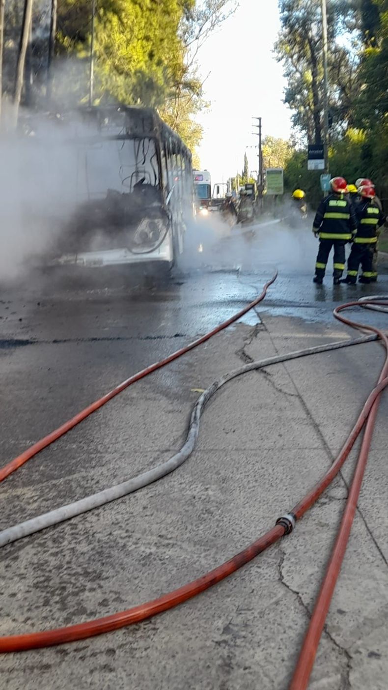 incendio (10)
