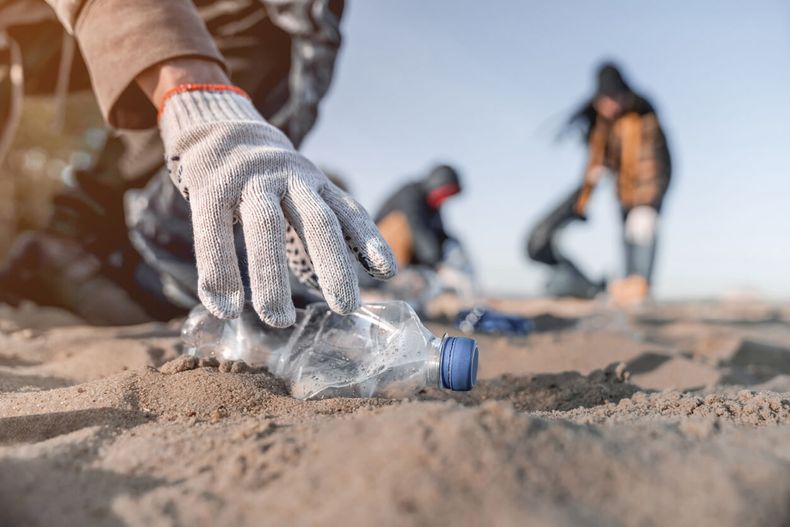 El lema de este año es Sin contaminación por plásticos . Foto. DKV..jpg
