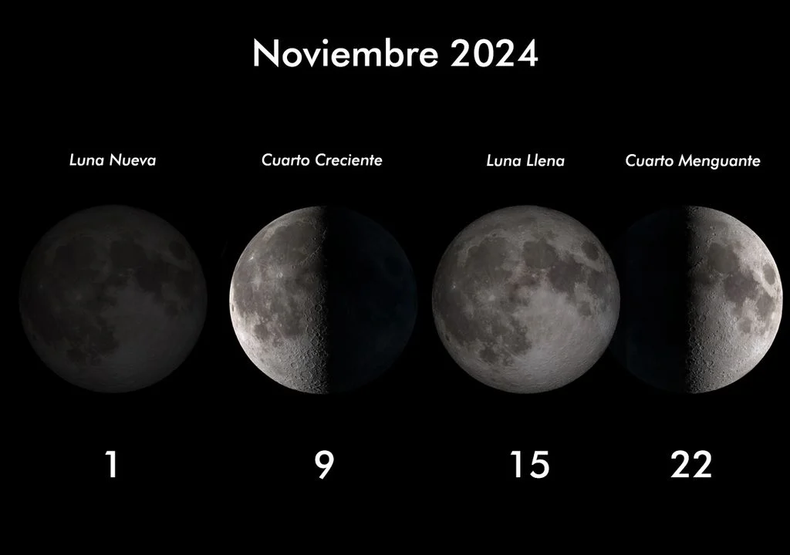 Fases de la luna del mes de noviembre de 2024. (Meteored)..png