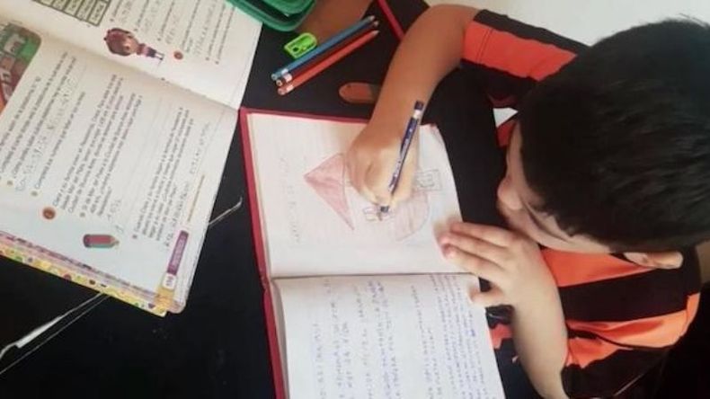 El apoyo escolar demandará una hora por semana a cada voluntario. .