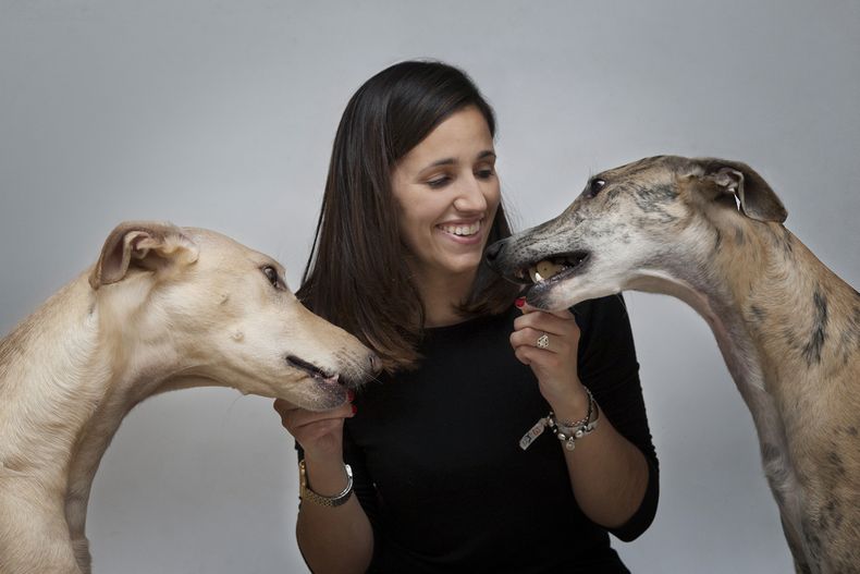 Salvemos a los galgos. (blogspot.com)..jpg